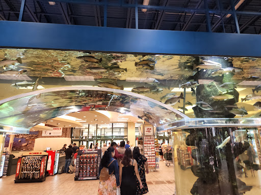 SCHEELS, 1200 Scheels Drive, Sparks, NV 89434, USA, 