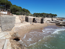 Photo of Platja Alcanar with very clean level of cleanliness