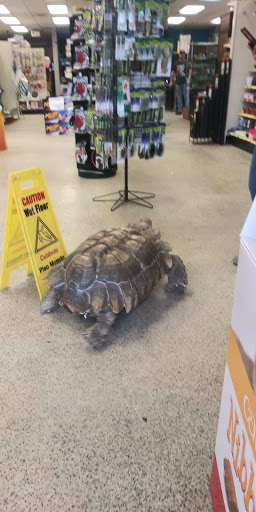 Pet Store «Rockstar Pets», reviews and photos, 215 N Main St, Tooele, UT 84074, USA