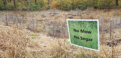 Nature Preserve «Wissahickon Environmental Center», reviews and photos, 300 W Northwestern Ave, Philadelphia, PA 19118, USA