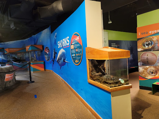 Print Shop «AlphaGraphics San Francisco Moscone», reviews and photos, 156 2nd St, San Francisco, CA 94105, USA