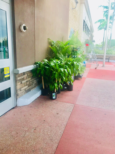 Supermarket «Walmart Neighborhood Market», reviews and photos, 11800 Hialeah Gardens Blvd, Hialeah Gardens, FL 33018, USA