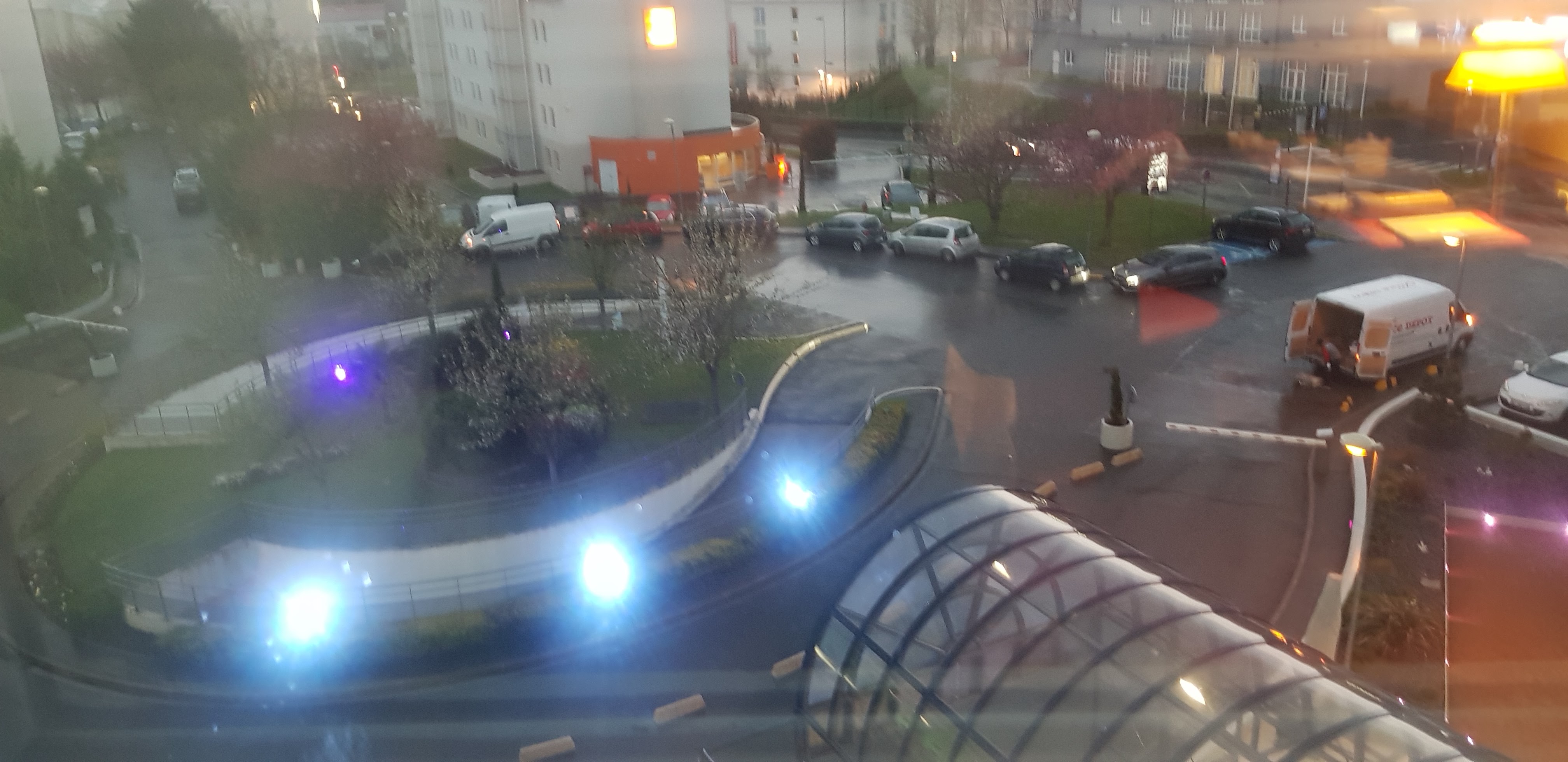 Photo n° 12 de l'avis de dragon. fait le 03/04/2019 à 19:47