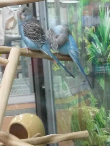 Pet Supply Store «Petco Animal Supplies», reviews and photos, 31419 Pacific Hwy S, Federal Way, WA 98003, USA