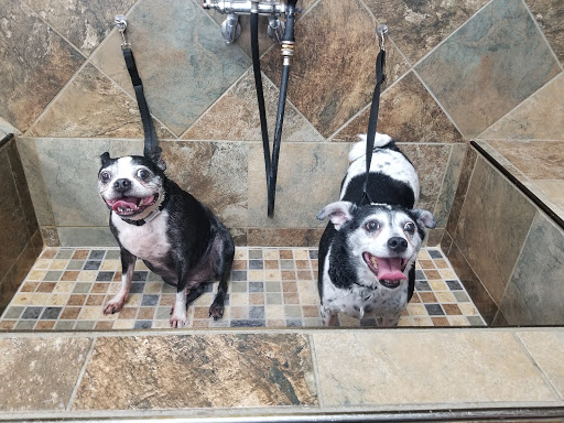 Pet Supply Store «Pet Valu», reviews and photos, 1305 West Seventh Street #28, Frederick, MD 21702, USA