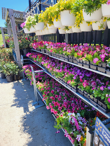 Department Store «Walmart Supercenter», reviews and photos, 2251 IN-54, Linton, IN 47441, USA