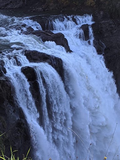 Tourist Attraction «Snoqualmie Falls Lower Observation Deck», reviews and photos, 37451 SE Fish Hatchery Rd, Fall City, WA 98024, USA