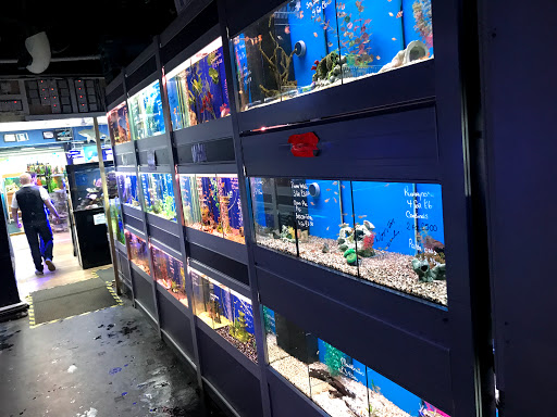 Fish shops in Glasgow