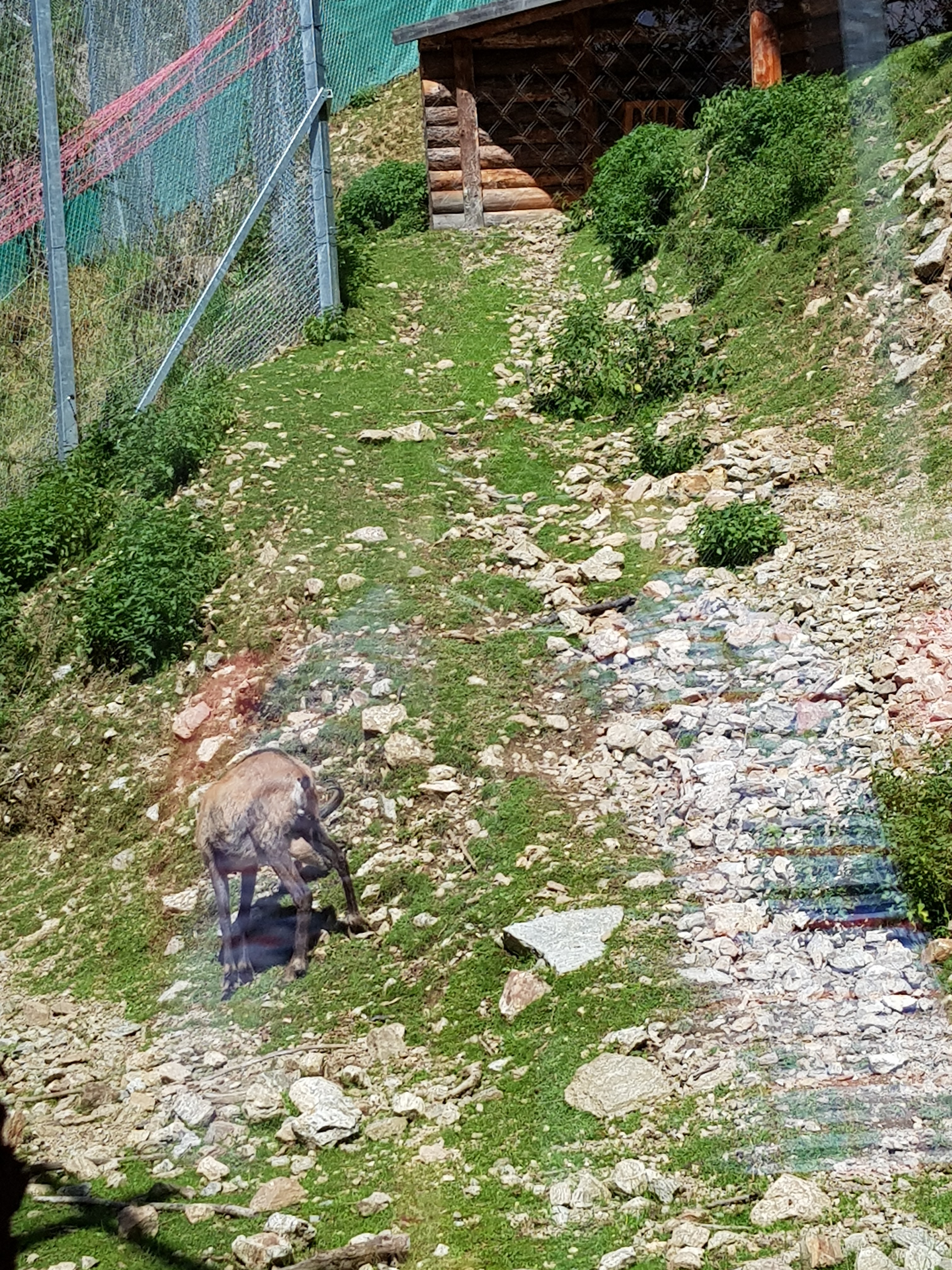 Photo n° 2 de l'avis de Céline.a fait le 03/09/2020 à 16:25