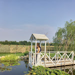 Photo n°1 de l'avis de annamaria.e fait le 25/07/2021 à 20:05 sur le  Podere le Antiche Ruote à Senago