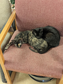 Noah's Ark Pet Center - Photo 4 - Car repair in Madison, WI, Madison