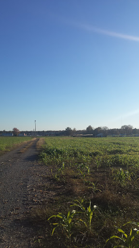 Department Store «Walmart Supercenter», reviews and photos, 150 Commerce Drive, Fairfield, IL 62837, USA