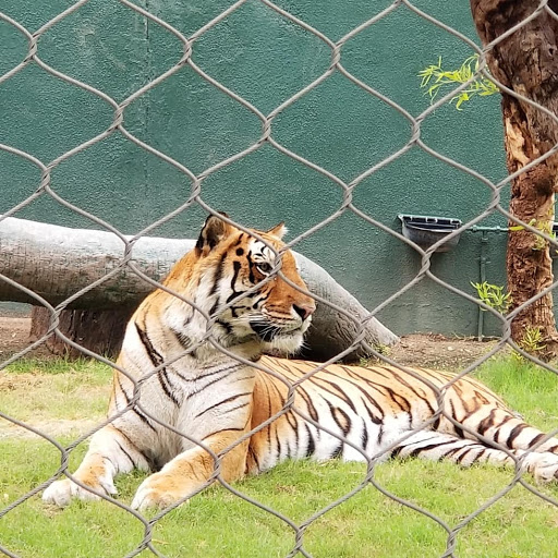 Computer Store «Apple The Forum Shops», reviews and photos, 3500 S Las Vegas Blvd, Las Vegas, NV 89109, USA