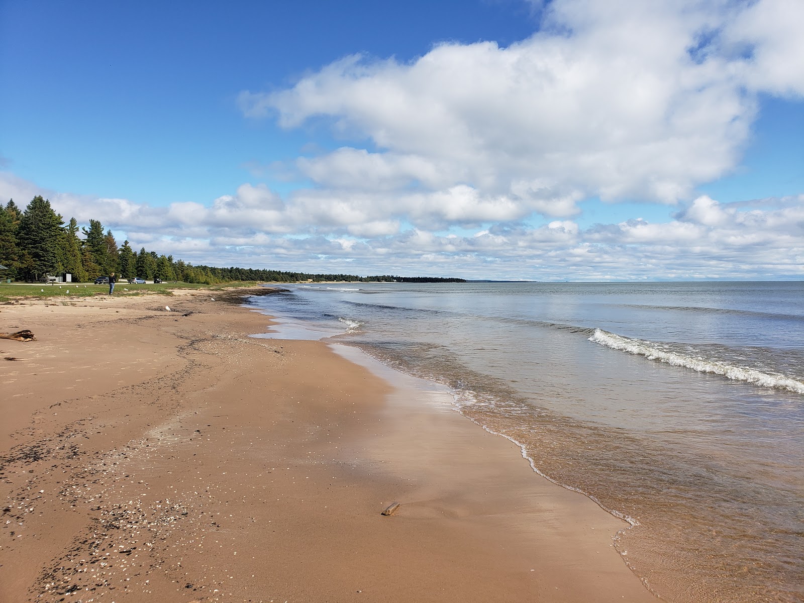 Foto di ThompsonRogers Beach con una superficie del sabbia beige