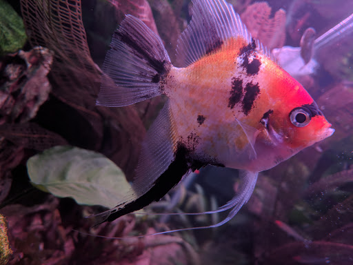 Animal Feed Store «Farmland Pets & Feed», reviews and photos, 9000 Silverdale Way NW, Silverdale, WA 98383, USA