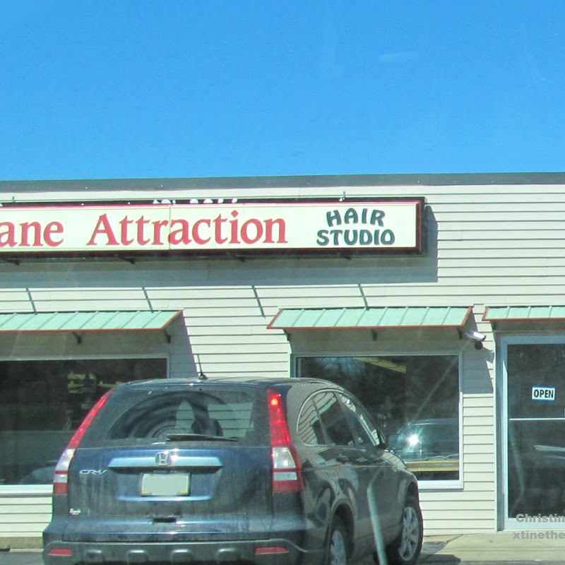 Mane Attraction