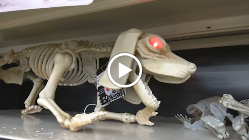 Discount Store «Big Lots», reviews and photos, 4601 NE Sunset Blvd, Renton, WA 98059, USA