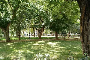 López de Ayala Park image