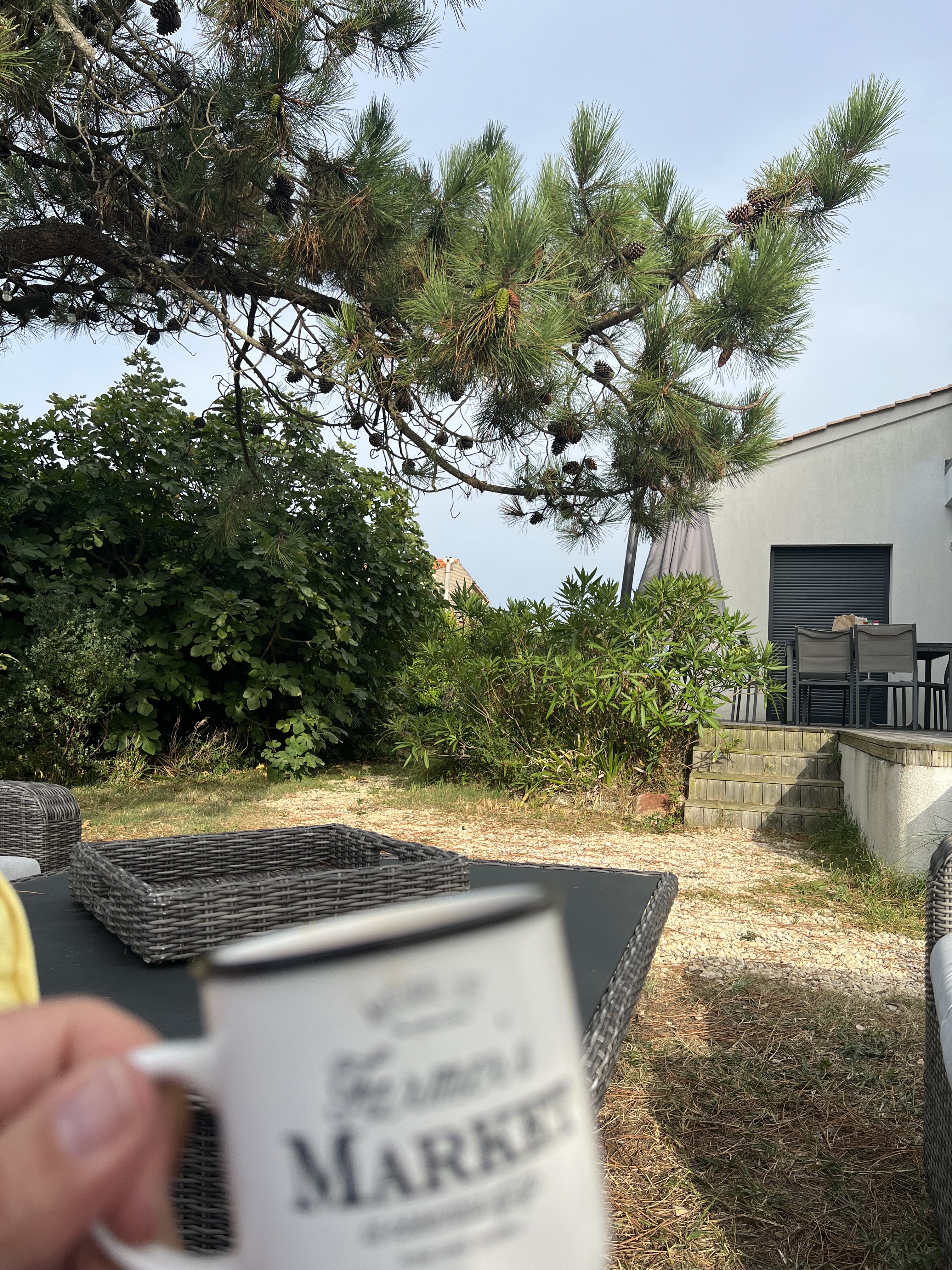 Photo n° 1 de l'avis de Jean-Philippe.a fait le 31/08/2023 à 18:56