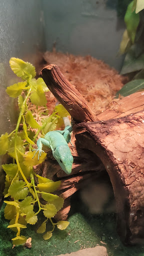 Pet Supply Store «Pet Supplies Plus», reviews and photos, 2057 S Telegraph Rd, Bloomfield Hills, MI 48302, USA