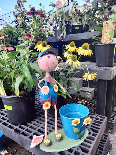 Pet Supply Store «Agway of Middlefield», reviews and photos, 147 Meriden Rd, Middlefield, CT 06455, USA