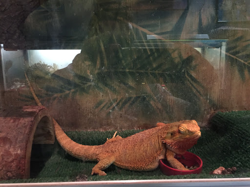 Aquarium «Aquarium Tarpon Springs», reviews and photos, 850 Dodecanese Blvd, Tarpon Springs, FL 34689, USA