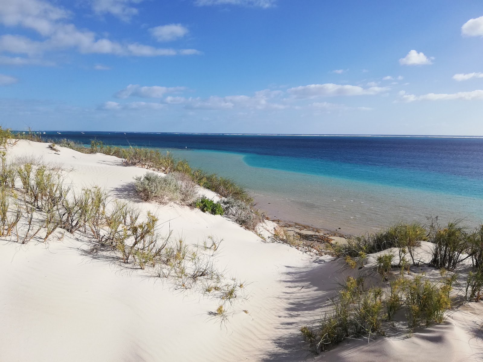 Foto av Paradise Beach med turkos rent vatten yta