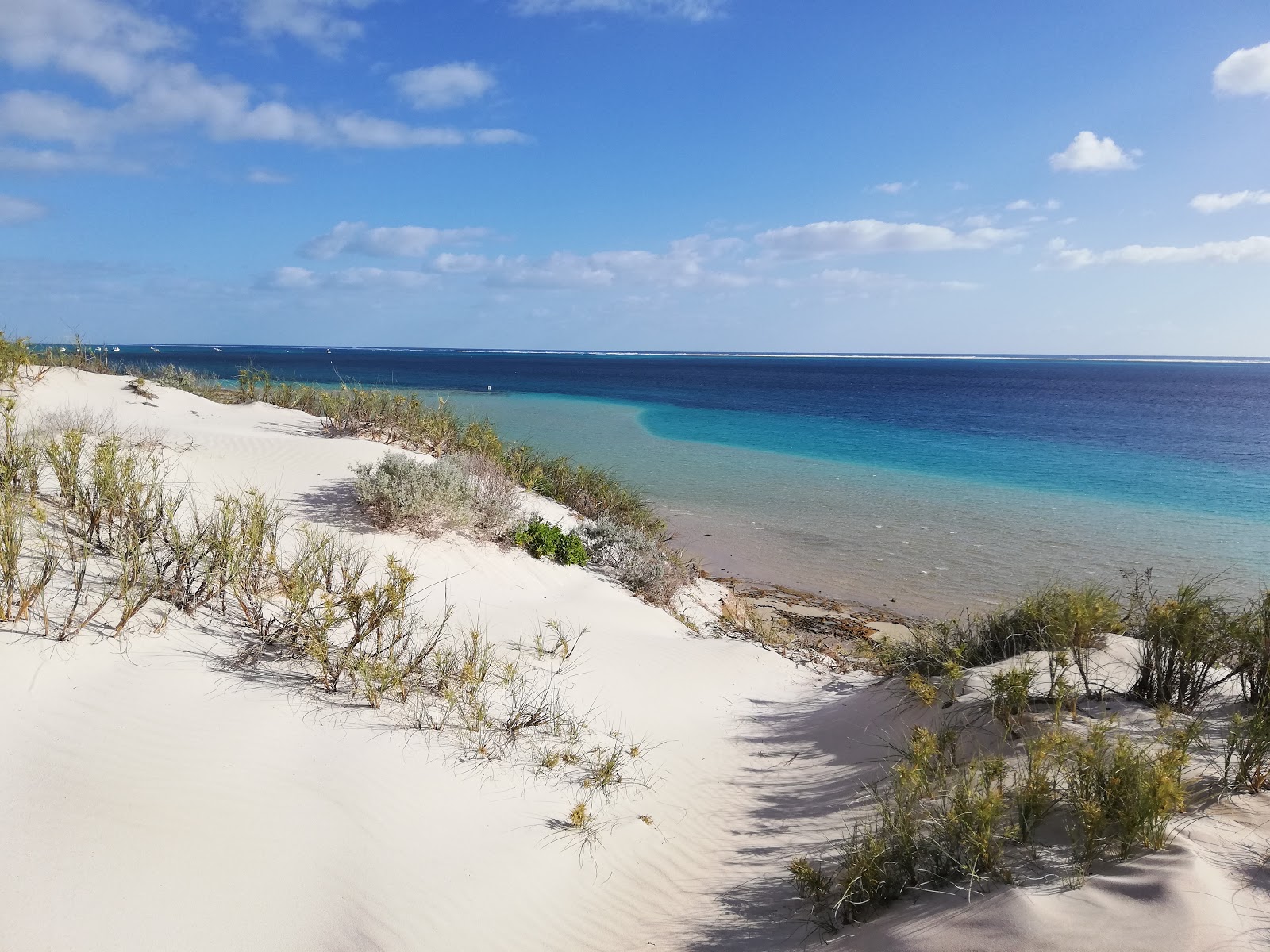Zdjęcie Paradise Beach z proste i długie
