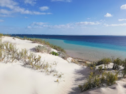 Zdjęcie Paradise Beach z proste i długie