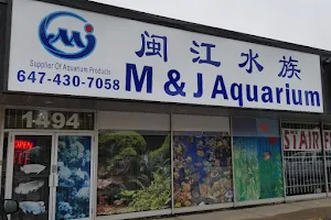 M&J Aquarium image