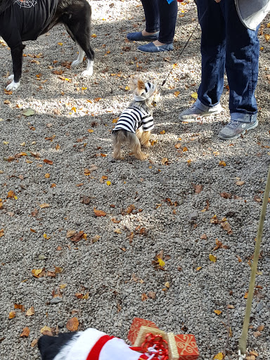 Dog Park «South Boston Bark Park», reviews and photos, 1280 Columbia Rd, Boston, MA 02127, USA