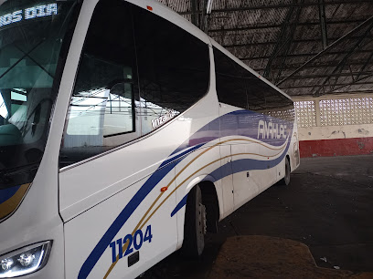 Senda - Del Norte | Central de Autobuses Nueva Rosita
