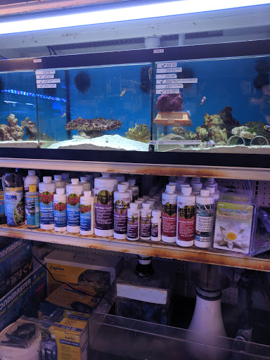 Pet Store «Aquarium Designs», reviews and photos, 15229 San Pedro Ave, San Antonio, TX 78232, USA