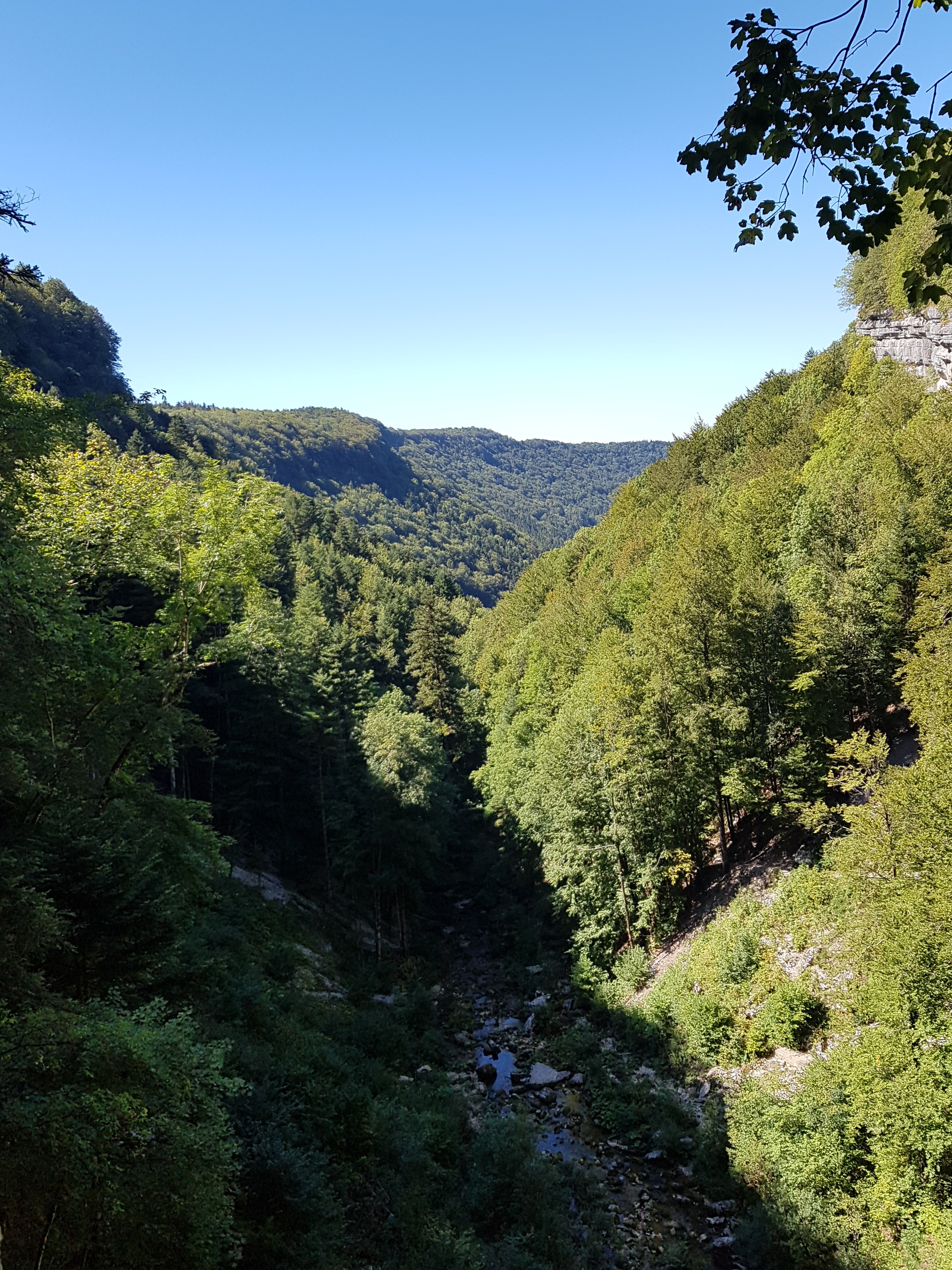 Photo n° 1 de l'avis de Constance. fait le 12/09/2019 à 12:58