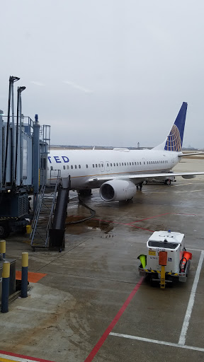 Tourist Attraction «SlotZilla Zip Line», reviews and photos, 425 Fremont St #160, Las Vegas, NV 89101, USA