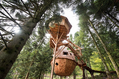 Bol d'Air Aventure. à La Bresse