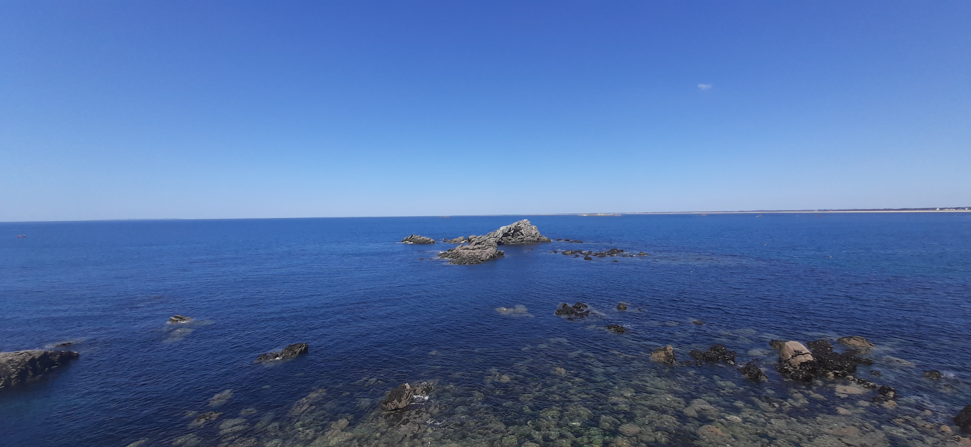 Photo n° 38 de l'avis de Marcelo.a fait le 30/01/2022 à 14:04