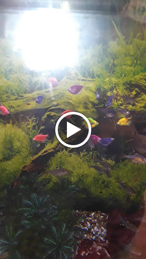 Supermarket «Al Couch Super Market», reviews and photos, 2115 Hamilton Eaton Rd, Hamilton, OH 45011, USA