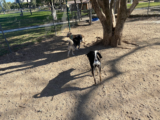 Dog park Rancho Cucamonga