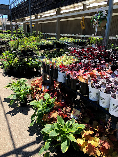 Plant shops in Milwaukee