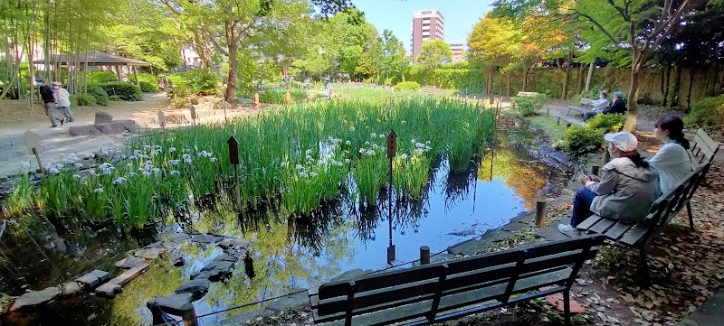 須磨離宮公園 花菖蒲園