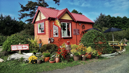 Coffee Shop «Beachside Buzz», reviews and photos, 1442 SW Pacific Coast Hwy, Waldport, OR 97394, USA