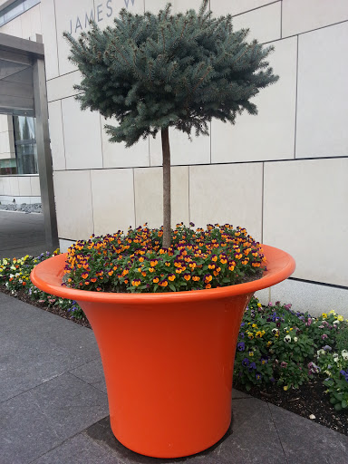 Art Museum «Virginia Museum of Fine Arts», reviews and photos, 200 N Blvd, Richmond, VA 23220, USA