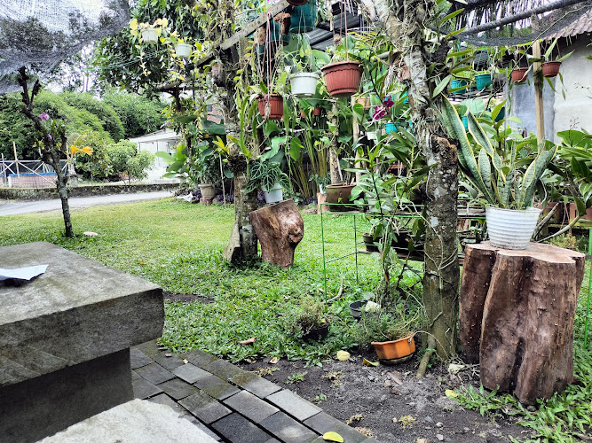 10 Tempat Menarik di Taman Ekologi Kabupaten Sleman