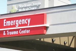 Northeast Georgia Medical Center Gainesville Emergency Room image