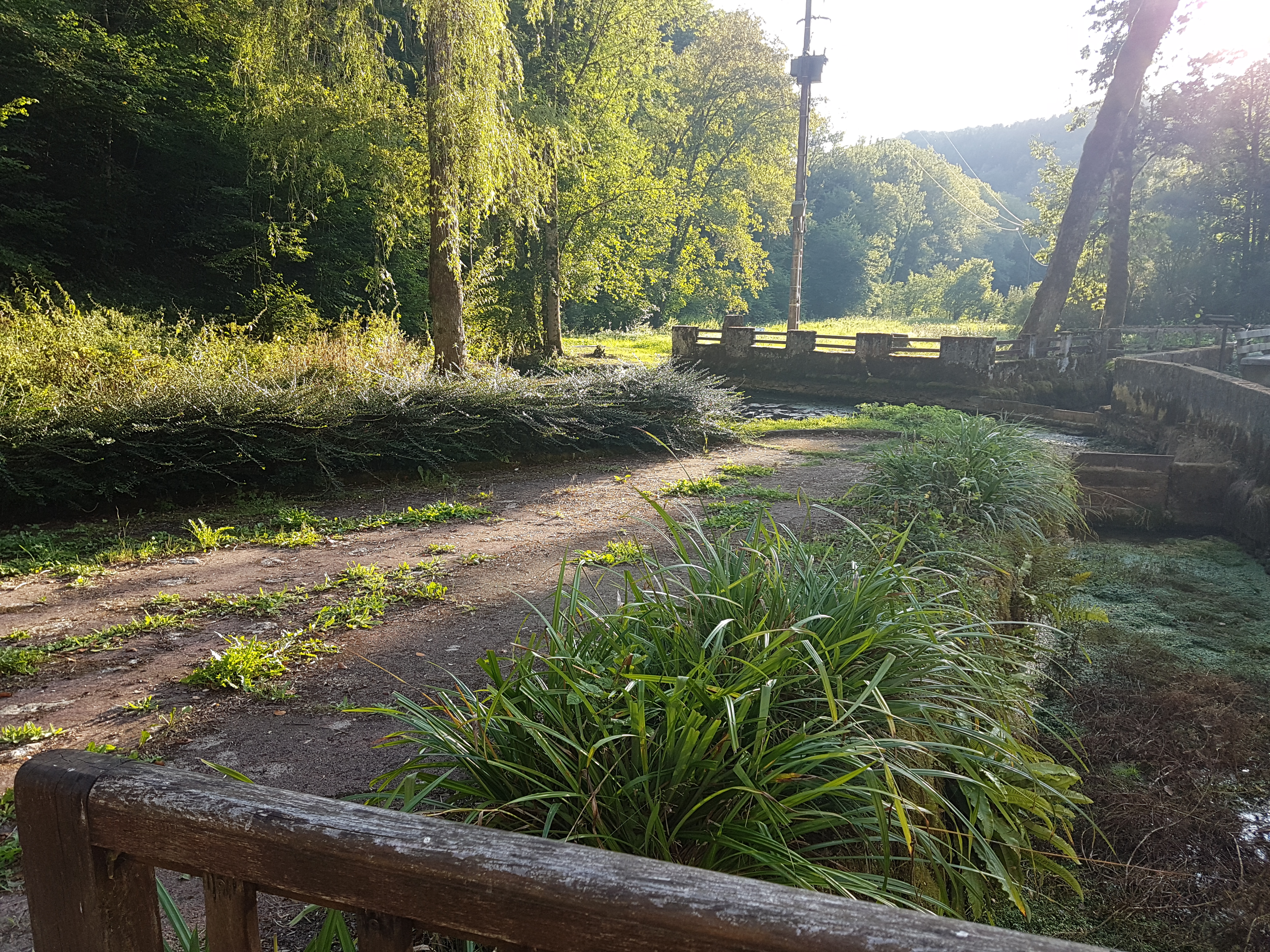 Photo n° 4 de l'avis de Stéphane.a fait le 19/08/2018 à 18:55