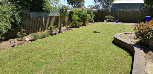 Paul Munns Instant Lawn