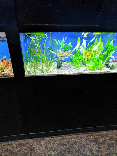 Aquarium «Aquarium World», reviews and photos, 13157 Northwest Fwy, Houston, TX 77040, USA