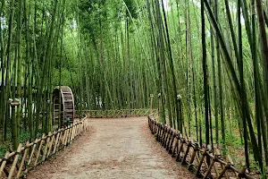 Taehwagang Bamboo Forest image