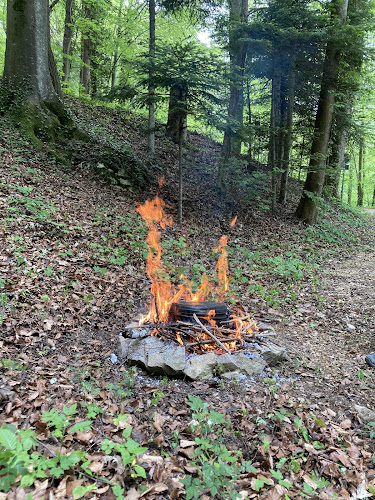 Jungschar Riehen-Dorf - Verband